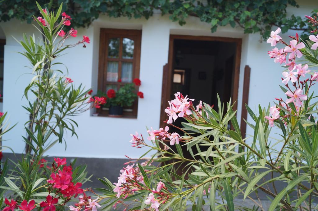 Cseresznyés Vendégház Szomolya Exterior foto